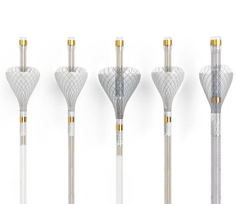 Five catheter-like medical devices shown side by side, each with an expandable wire-mesh basket or filter near the tip and gold-colored marker bands.
